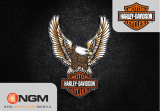 NGM Harley-Davidson Bruksanvisning