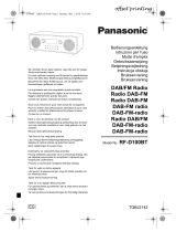 Panasonic RF-D100BTEGT Bruksanvisning