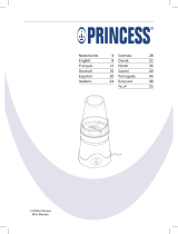 Princess Mini Blender Bruksanvisning