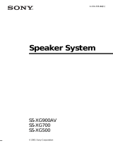 Sony SS-XG900AV Användarmanual