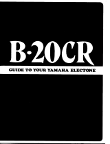 Yamaha B-20CR Bruksanvisning