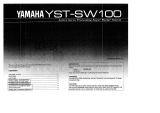 Yamaha YST-SW100 Bruksanvisning