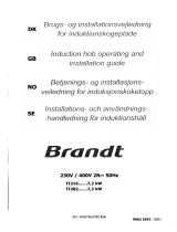 Groupe Brandt TI212BT1 Bruksanvisning