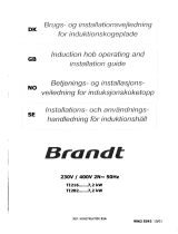 Brandt TI216BN1 Bruksanvisning