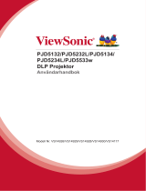 ViewSonic PJD5232 Användarguide