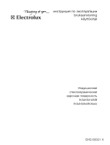 Electrolux EHS60021X Användarmanual