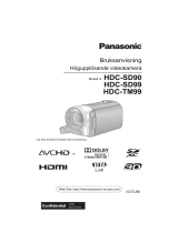 Panasonic HDCSD90EC Bruksanvisningar