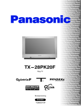Panasonic TX28PK20F Bruksanvisningar