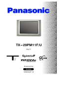 Panasonic TX29PM11FU Bruksanvisningar