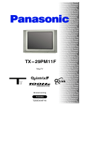 Panasonic TX29PM11F Bruksanvisningar