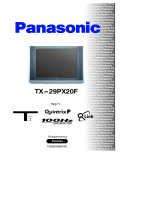 Panasonic TX29PX20F Bruksanvisningar