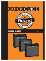 Roland CUBE-20GX Användarguide