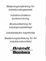 Groupe Brandt HFR75X1N Bruksanvisning