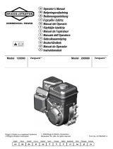 Briggs & Stratton 200000 Vanguard Bruksanvisning