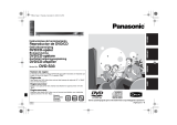 Panasonic DVD-S33 Bruksanvisning