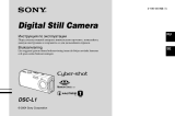 Sony DSC-L1 Bruksanvisning