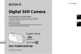 Sony DSC-P100 Bruksanvisning