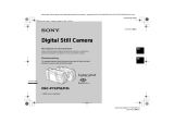 Sony DSC-P31 Bruksanvisning