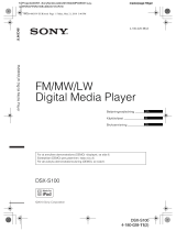 Sony DSX-S100 Bruksanvisning