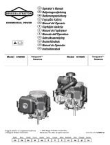 Briggs & Stratton 613700 Bruksanvisning